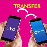 Cara Dana Transfer ke OVO (3 Step) Paling Mudah dan Cepat